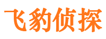 山亭侦探社